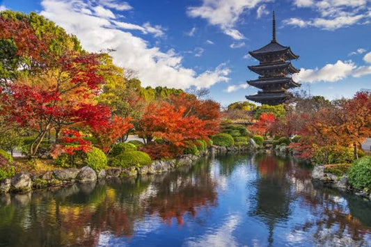 Discovering the Beauty and Legends of To-ji Temple in Kyoto